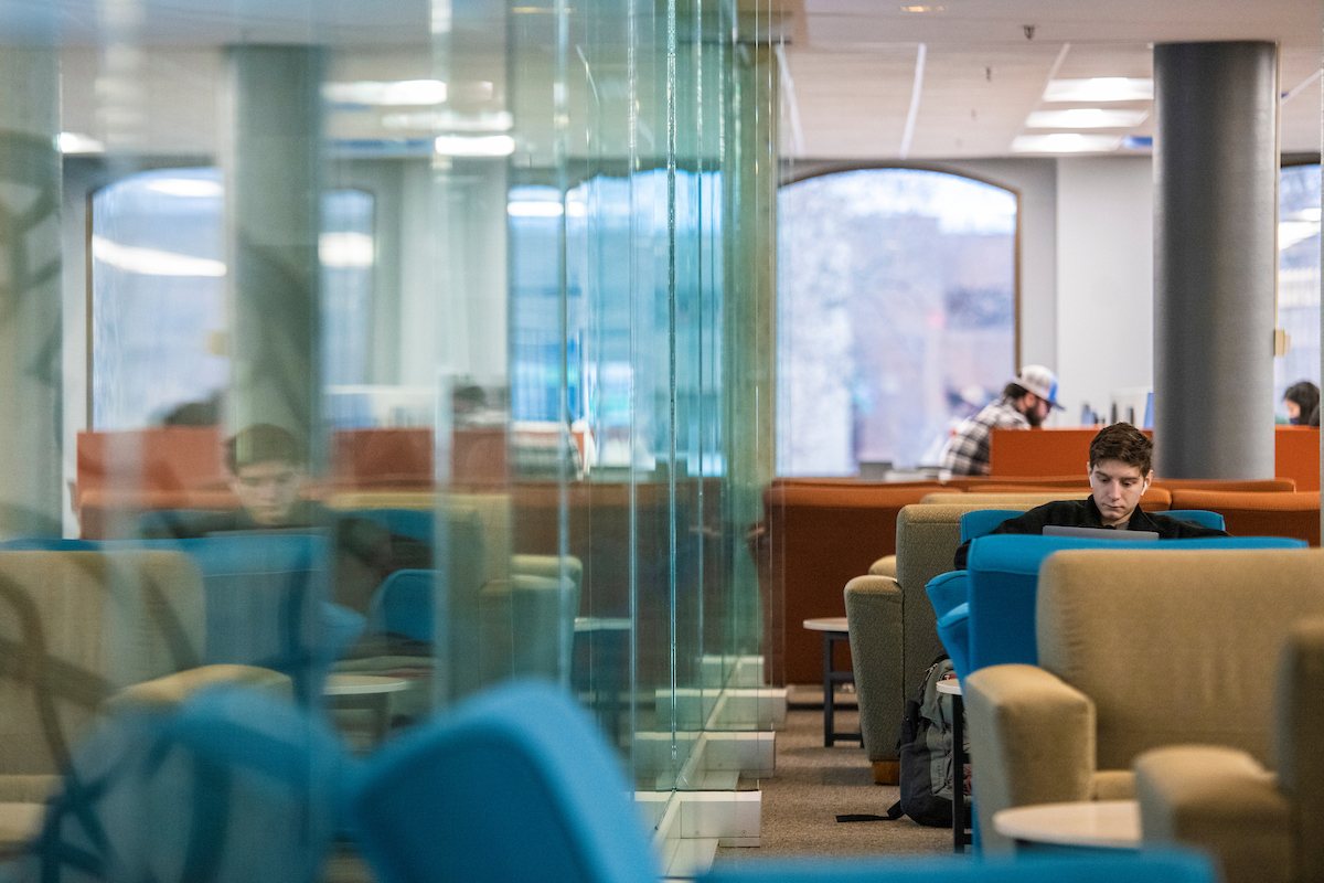 students studying in the library